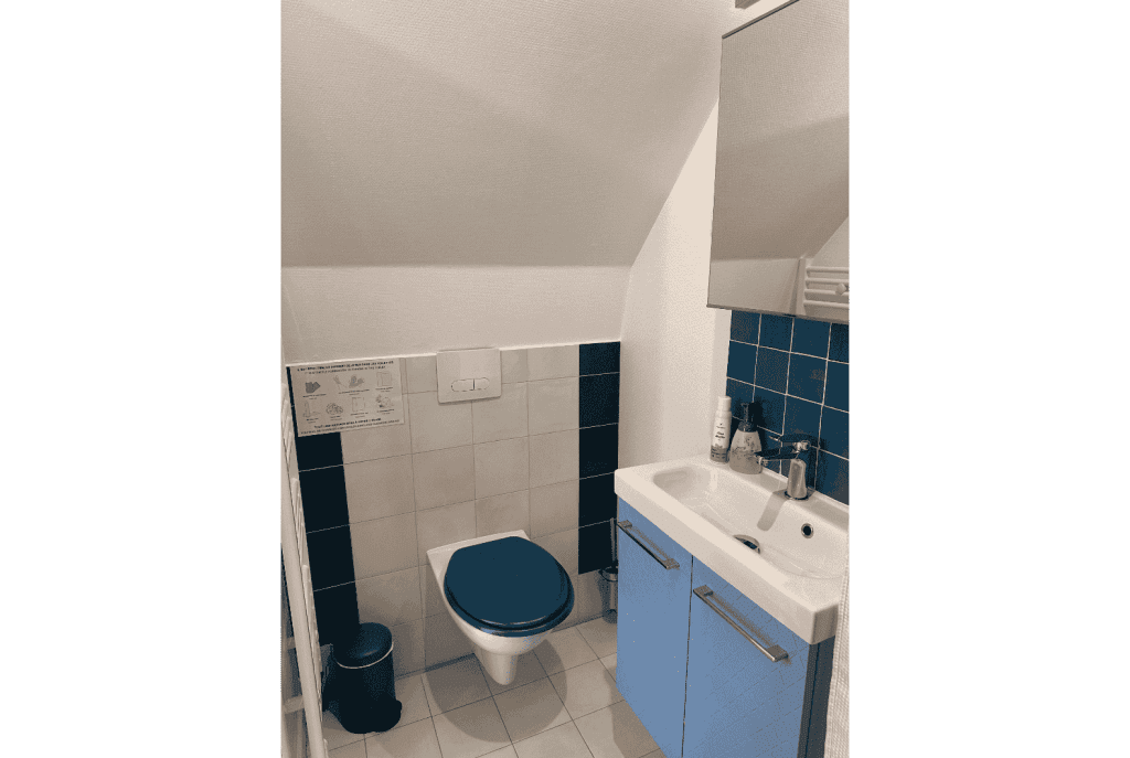 Les Cigognes de Rosheim - Chambre d'hôte la Cigogne Bleue - Salle de bain avec WC