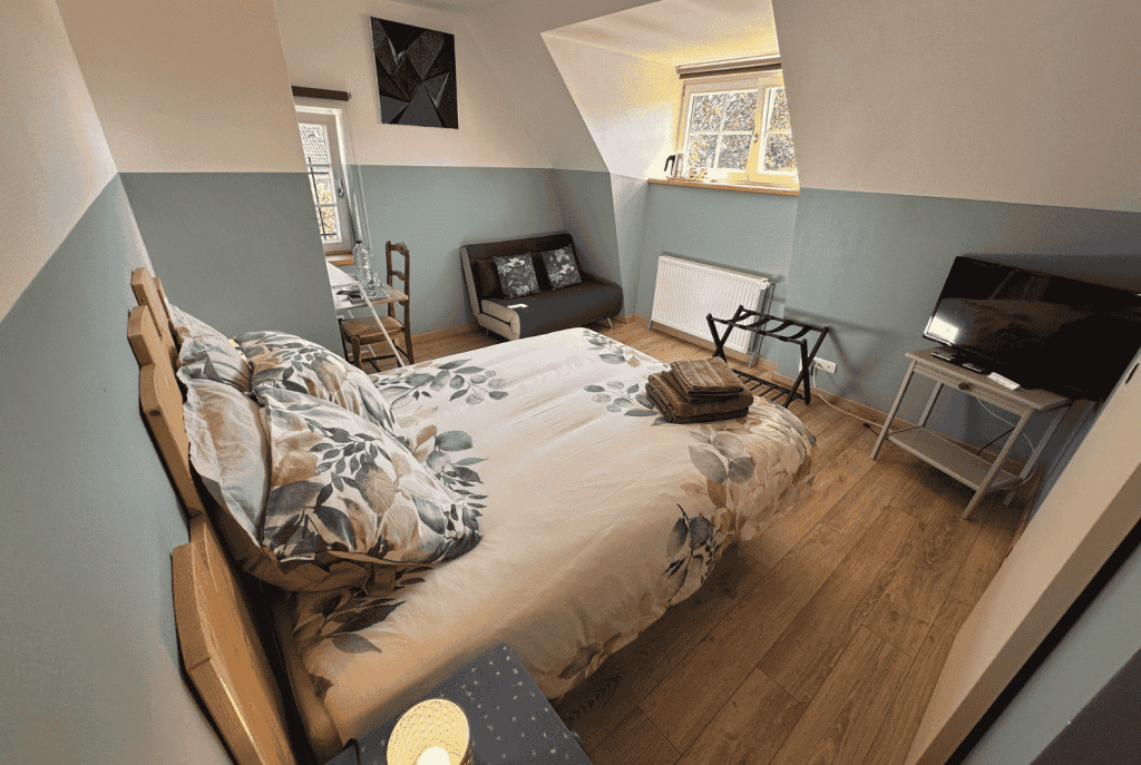 Les Cigognes de Rosheim - Chambre d'hôte la Cigogne Bleue - Vue de la chambre