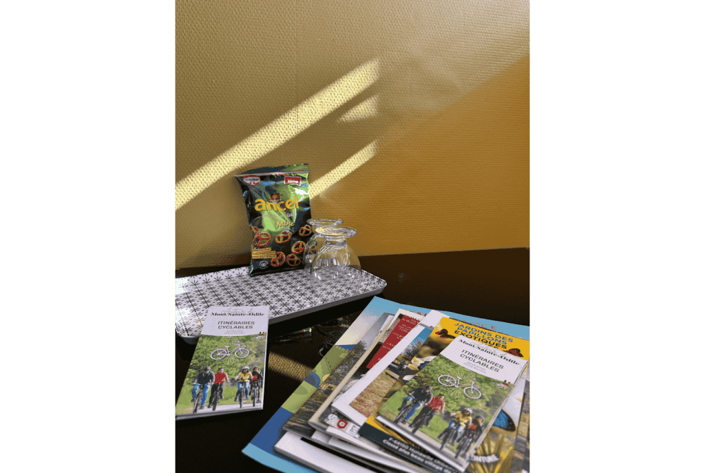 Les Cigognes de Rosheim - Chambre d'hôte la Cigogne Jaune - Brochures touristique et cadeau