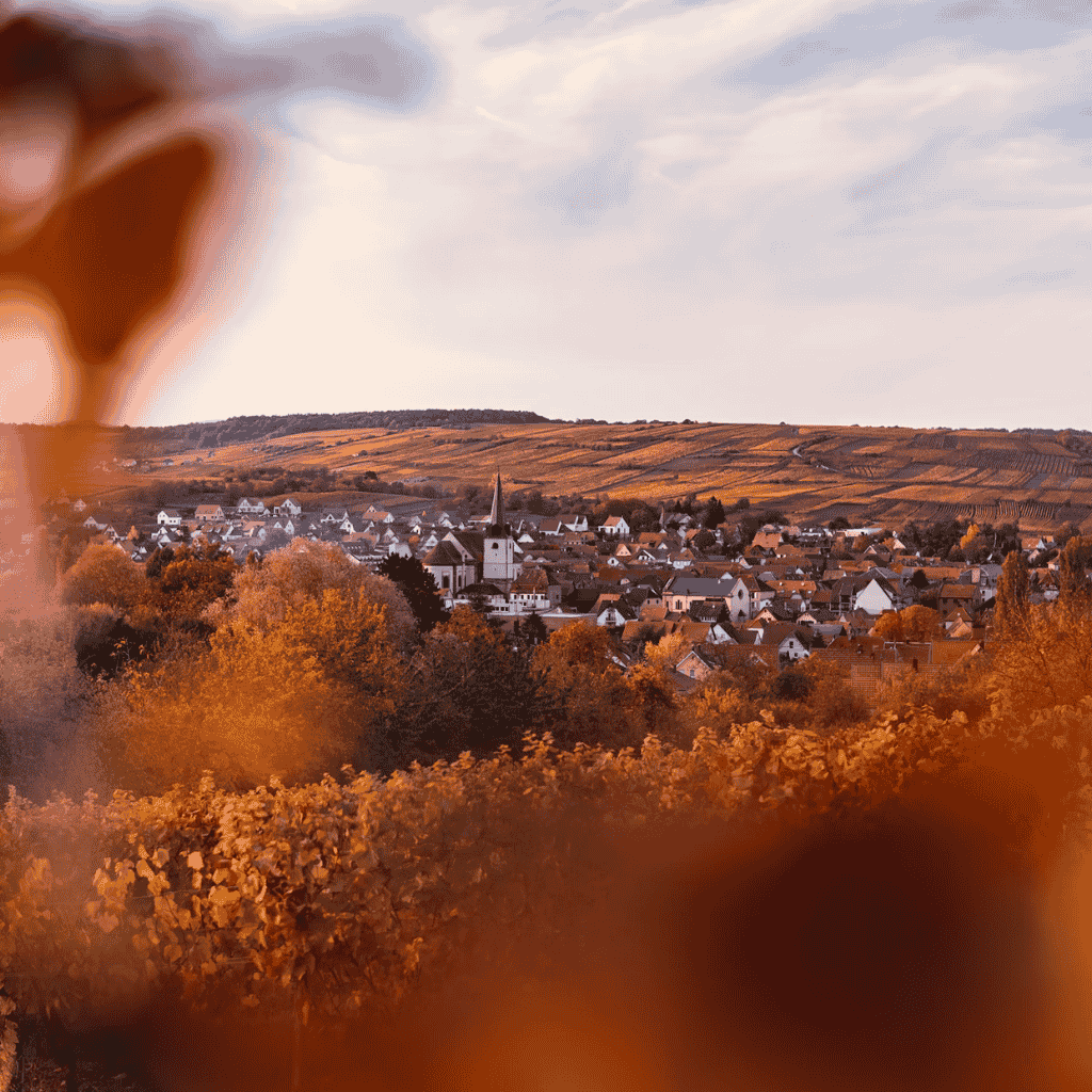 Photo de village en Alsace depuis les vignes